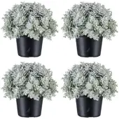 Creativ Green künstliche Pflanze Eukalyptustöpfchen geeist, 13cm, weiß, 4er Set