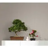 Overig Vliestapete matt unifarben moderne Tapete für Wohnzimmer Schlafzimmer Küche