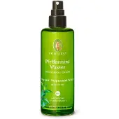 Primavera Pfefferminzwasser Bio Spray 100 ml
