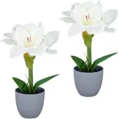 Creativ Green künstliche Pflanze Amaryllis, 35cm, weiß, 2er Set