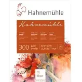 Hahnemuhle Aquarellpapier Echt-Bütten, 30 x 40 cm, 300 g/m2, weiß, rau, geleimt, 10 Blatt