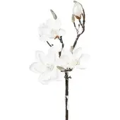 Creativ Green künstliche Pflanze Magnolie beschneit, 13 LED, 92cm