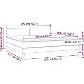vidaXL Boxspringbett mit Matratze Schwarz 200x200 cm Samt