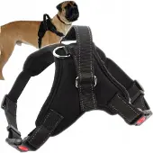 Mona Starkes Leichtgewichtiges Druckfreies Hundegeschirr L-Griff