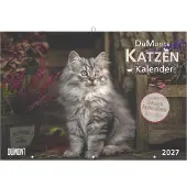 Neumann DuMonts Kalender 2027 Katzen: 12 wunderschöne Katzenportraits 42x29 cm