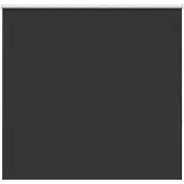 vidaXL Verdunkelungsrollo Schwarz 145x150 cm Stoffbreite 141,6 cm