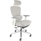 CLOUVOU ProSeat