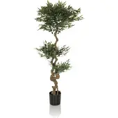 Hjh OFFICE Acacia