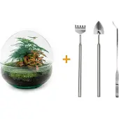 Urbanjngl Diy Terrarium - Kuppel Rot - ↕ 20 Cm