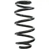 SPIDAN Fahrwerksfeder GKNW10248