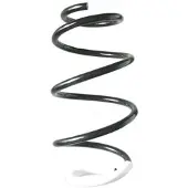 SPIDAN Fahrwerksfeder GKNW10233