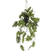 Green Boutiq Kunstpflanze - Philodendron - Kletterbaum Lover - 80 cm
