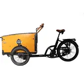 Beston Cargo E-Bike AITour Family S 48V / 13,4Ah (634,2Wh)