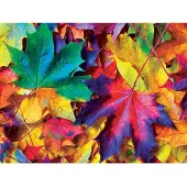 Sonstige Verlage Fall Frenzy