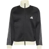 Adidas Herren Rolli STA PQ TT
