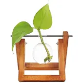 Winkee - Hydro Vases Lilly - Vase