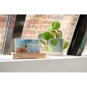 Thomson CT600 Wetterstation aus Holz mit drahtlosem Sensor und zwei Alarmen