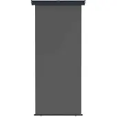 vidaXL Balkon Seitenmarkise 100 x 250 cm 100% Polyester Eisen Stahl