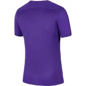 Nike - "Dry Park VII" Trikot für Herren kurzärmlig (Veilchen)