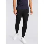 Puma Teamrise Poly Training Hosen