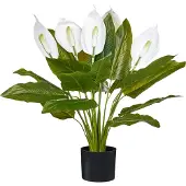 Beliani Spathphyllum