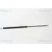 TRISCAN Gasfeder, Koffer-/Laderaum 8710 25228