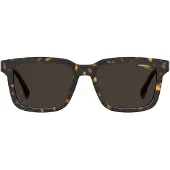 Carrera 251/S Havana 53/18/145 Uni Sonnenbrillen