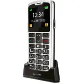 Beafon SL260, Balken, Single SIM, 5,59 cm (2.2"), Bluetooth, 800 mAh, Schwarz, Silber