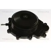 TRISCAN Wasserpumpe 8600 23019V