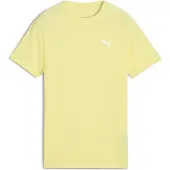 Puma T-Shirt Evostripe B