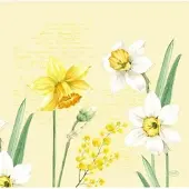 Duni 144 Dunisoft-Servietten 40 x 40 cm Spring Daffodil