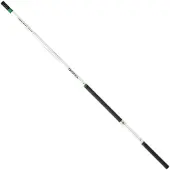 Daiwa Team Stipprute Silber 5.80 m Silber 5.80 m