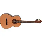 Vgs Pro Arte GC 210 A 4/4 Natural