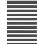 vidaXL Doppelrollo Schwarz 100x100 cm Stoffbreite 95,9 cm Polyester