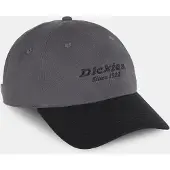 Dickies Mützen TWILL DAD HAT