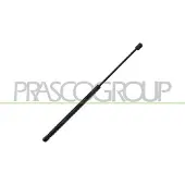 PRASCO Gasfeder, Koffer-/Laderaum DS7129055
