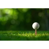 Kikkerland - Gopher Golf Tee S/6