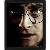 Pyramid HARRY POTTER (HARRY VS VOLDEMORT) - FRAMED