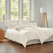 Cotonea Bio-Satin Bettwäsche Classic Kissenbezug einzeln 80x80 cm | natur - beige