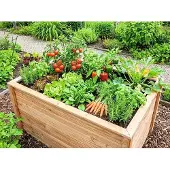 Dimplex Hochbeet klassisch Rhombus Lärche 120 x 80 x 80 cm natur