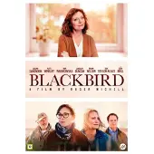 SMD Blackbird