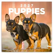 Presco Welpenkalender 2027