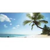 MySPOTTI Badrückwand aqua Beach 90x45 cm