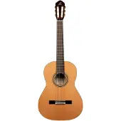 Ortega R20GRG Traditional Series 4/4 Konzertgitarre