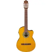 Ibanez GA3ECE-OAM guitar with microphone
