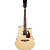 Ibanez PF16WCE Natural High Gloss