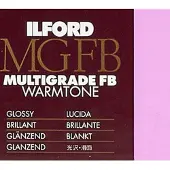 Ilford MGW.1K 17.8 X 24.0cm 100 Vel