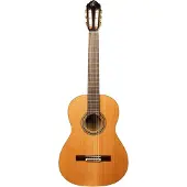 Ortega R20GRG-L - Konzertgitarre Lefthand