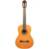 Ortega R20GWN-L - Konzertgitarre Lefthand