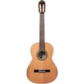 Ortega R19G - Konzertgitarre